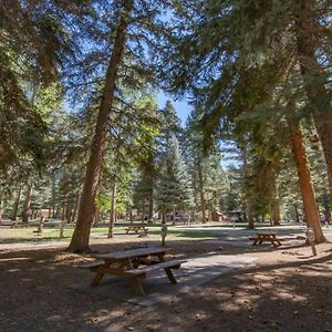 The Lupine Cabin #10 At Blue Spruce Rv Park & Cabins